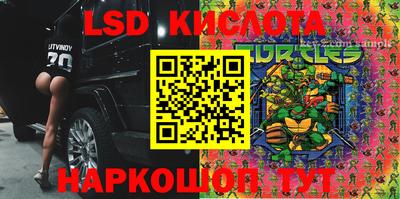 шишки Нарткала